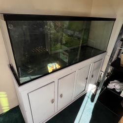 100 Gallon Fish Tank With Stand And 200 Gallon filtration system