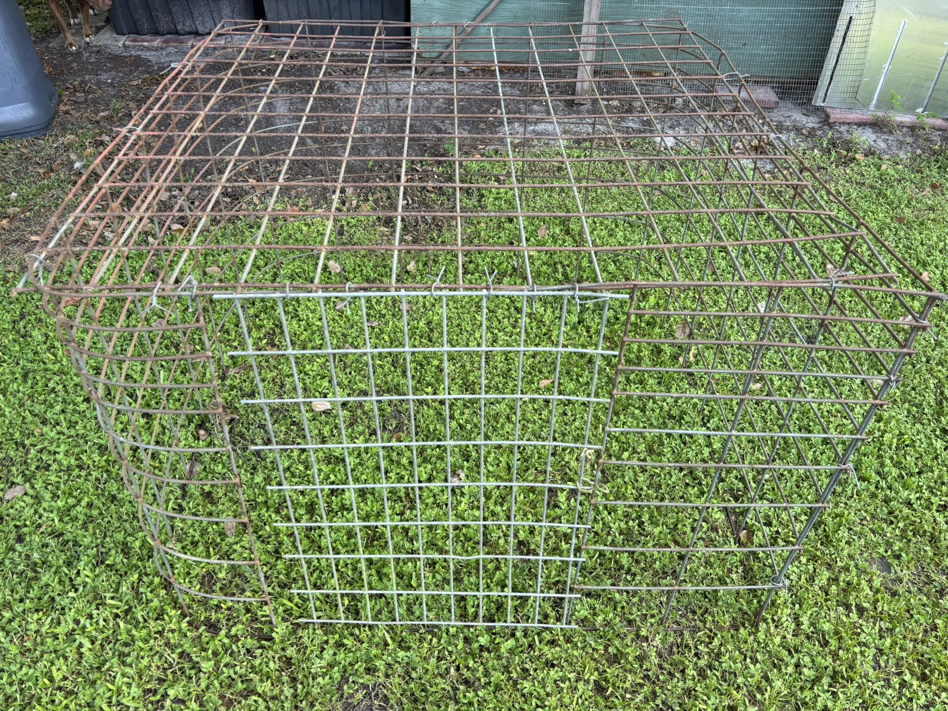 Dog Or Hog Cage