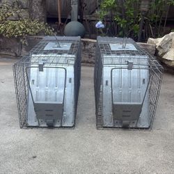 Humane Animal Trap