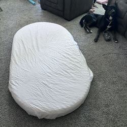Large Baby/Pet Mattress *Brand new*