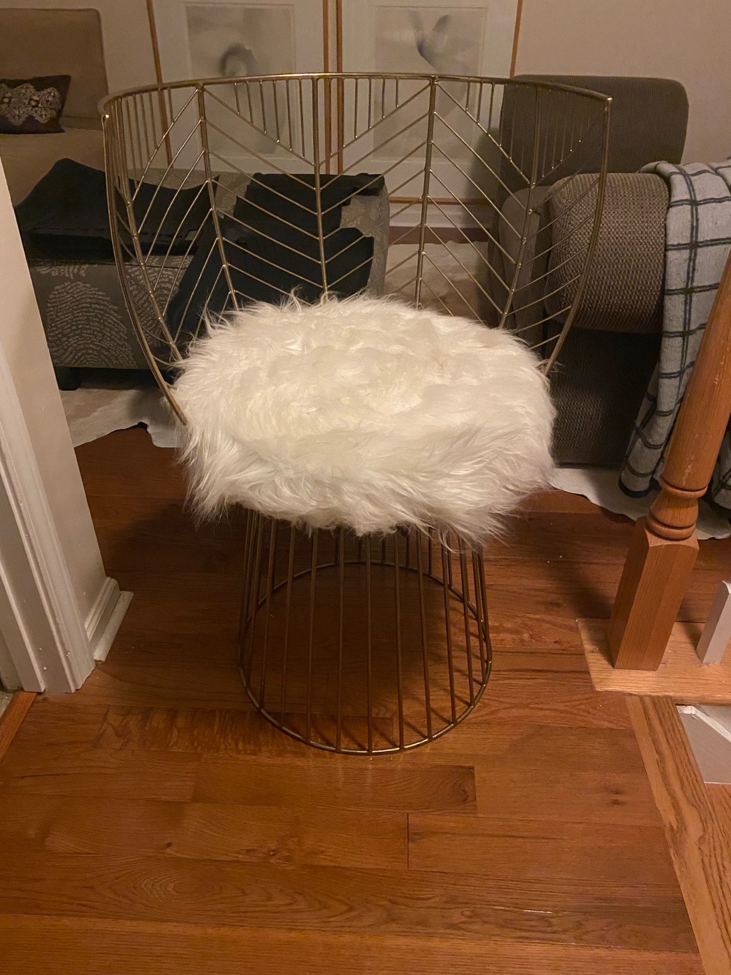 Gold medal chair (OBO)