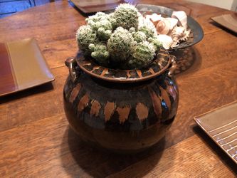 Cluster Cactus in Handcrafted Ceramic Pot – Easy Care, Unique Décor
