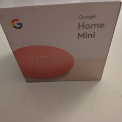 GOOGLE HOME MINI SALMON!