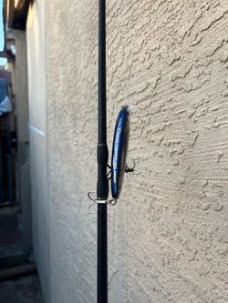 PENN GRAPHITE ROD AND REEL