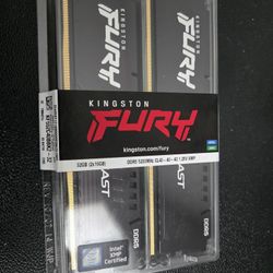 Kingston Technology Fury Beast 32GB DDR5 Memory