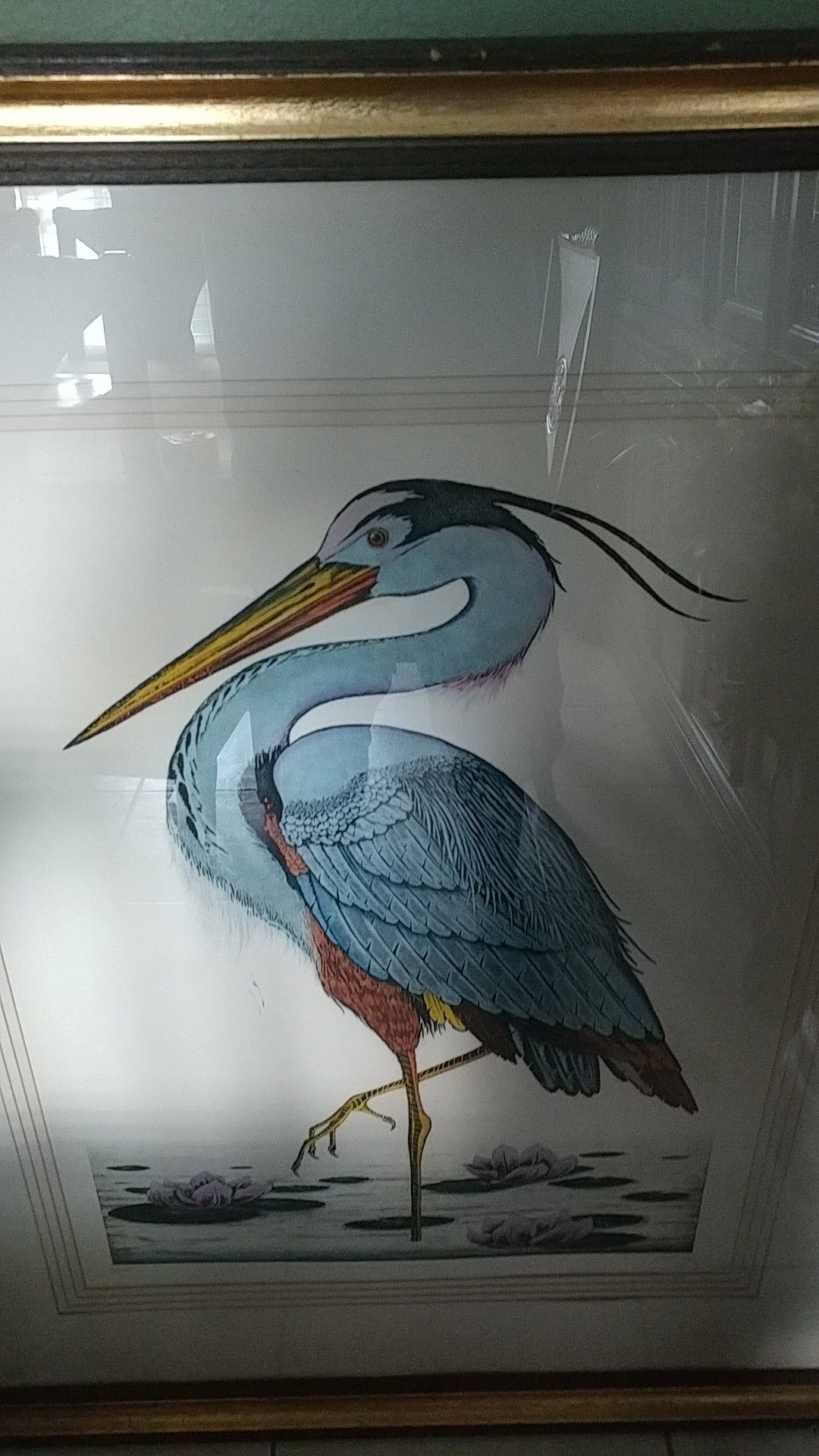 Dan Mitra signed Blue Heron 729/750