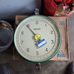 Weight Scale 