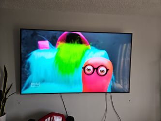 Samsung 65 Inch TV