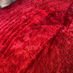 Large Rugs Carpet Like VeryGood Size 8x11