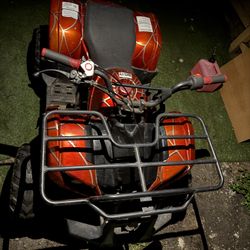Off Road Coolster 110