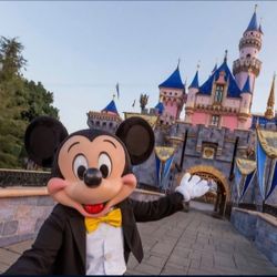 Need Disneyland Tickets (Looking to Buy)