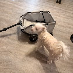 Dog Pull Stroller