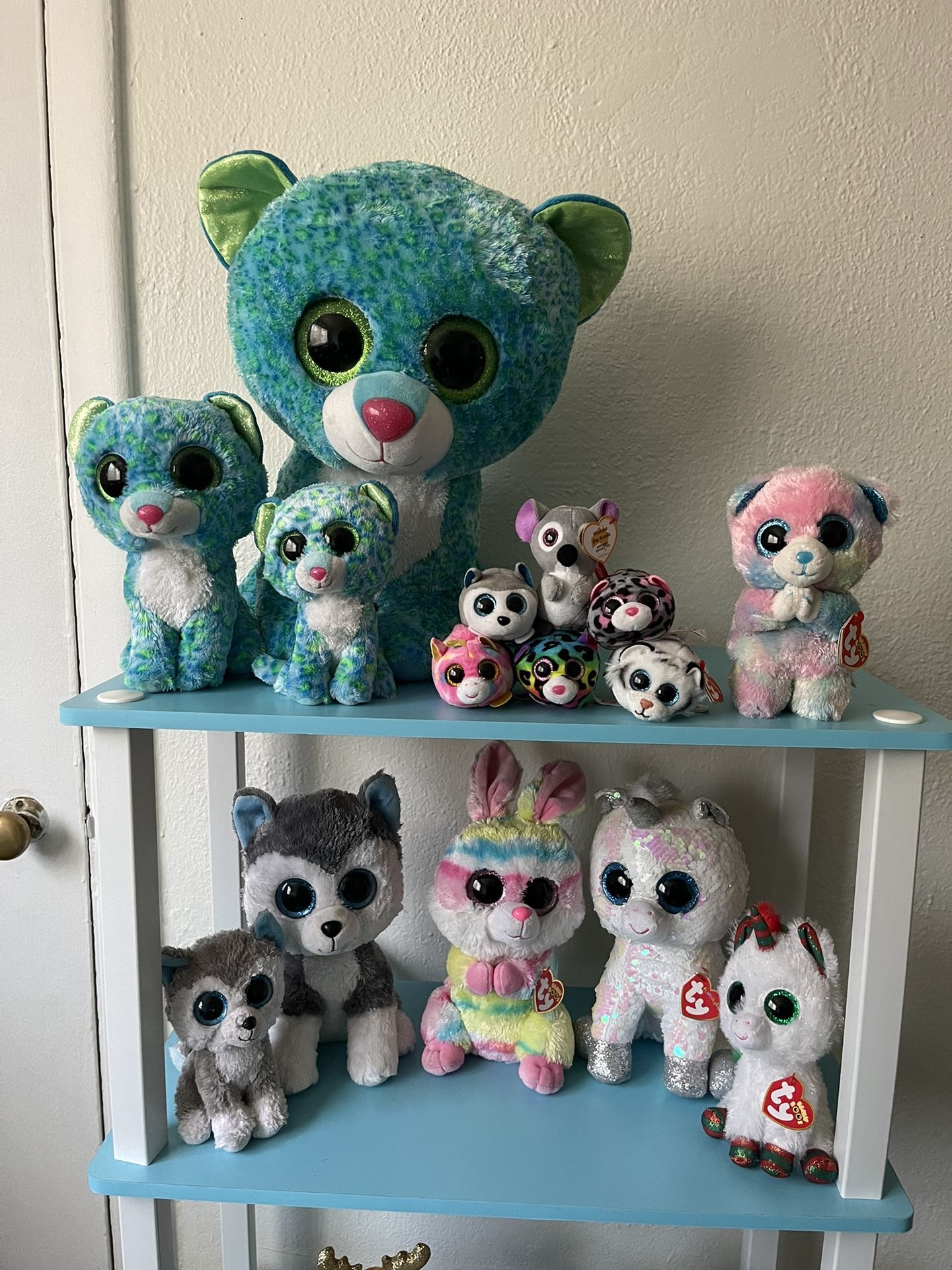 Beanie Boo Collection