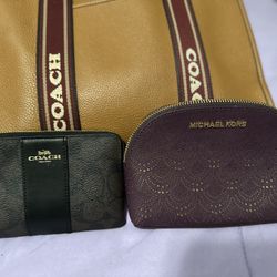 Purse and Accessories 