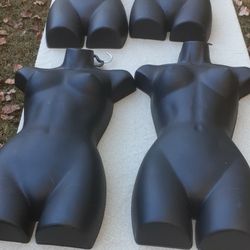 Mannequin Torsos