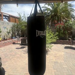 Punching bag and gloves