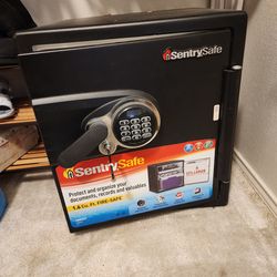 Sentry fireproof safe