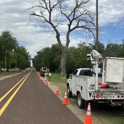 Stump Grind Molemos Troncos De Árboles 