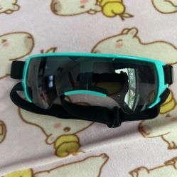 Dog Sun Glasses