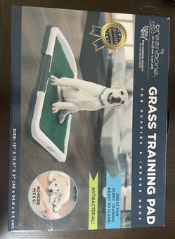 Traing Pad For Dogs