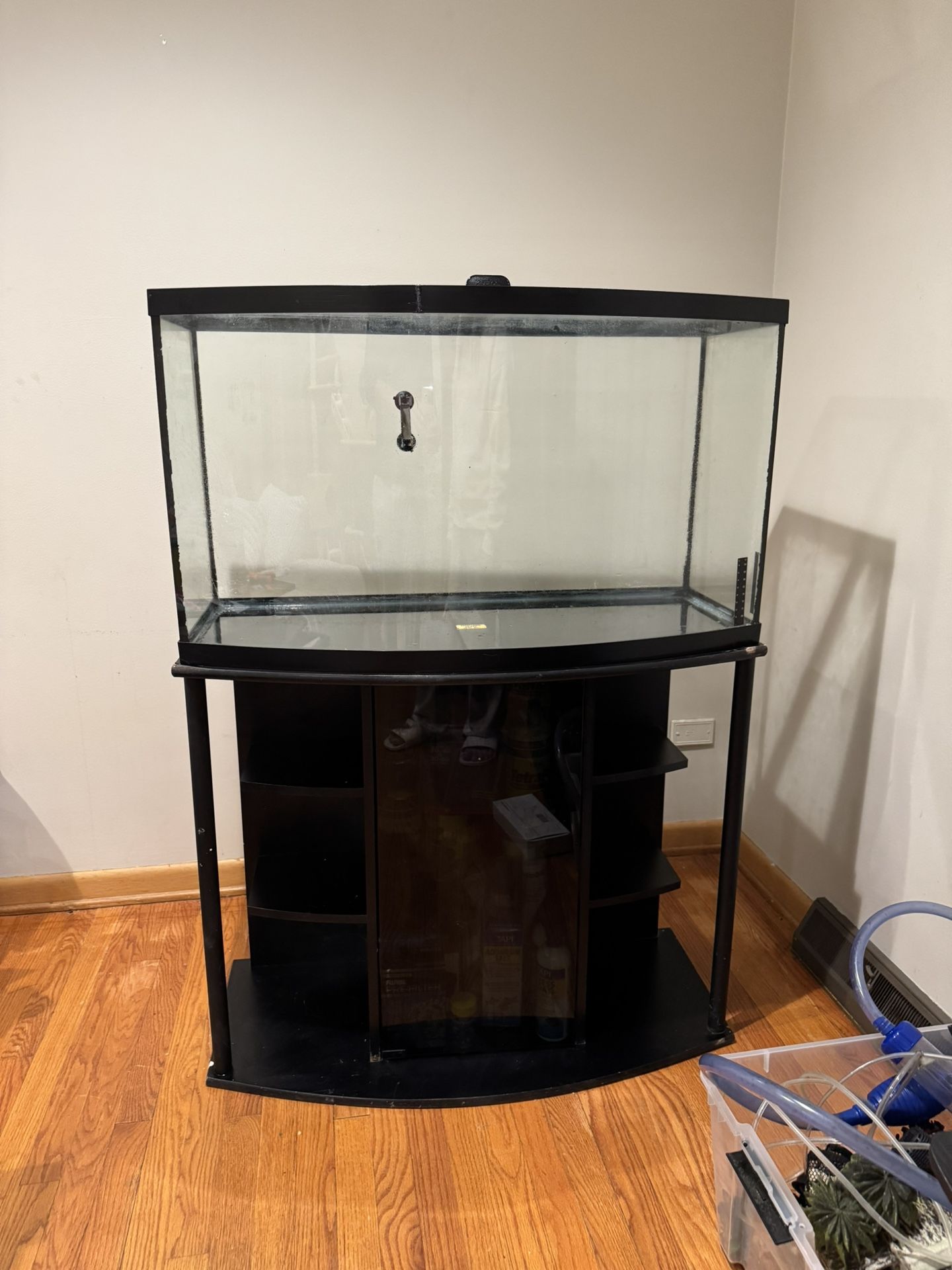 55 Gallon Fish Tank