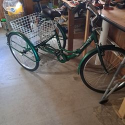 Adult Tricycle