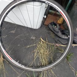 Alex Rim Road Bike Rim