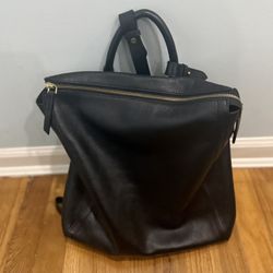 Fossil Backback/ Purse
