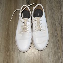 Lacoste Men Shoe