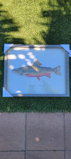 Brook Trout Picture Frame
