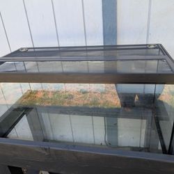 40 Gallon Fish tank