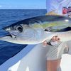 Jay Fish