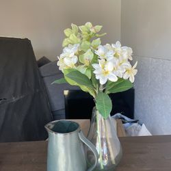 Vase & Pitcher 