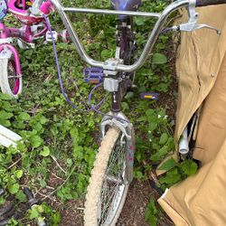 Bike. Boys 20 In 