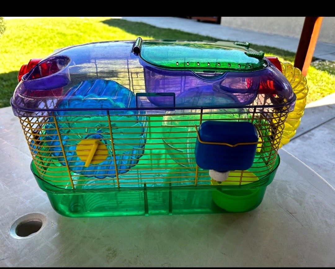 Jaula Para Hamsteer. Free