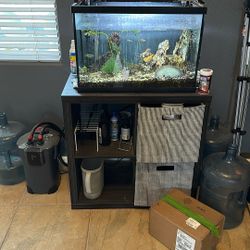 20 Gallon Tank With Stand, Canister, And Fish