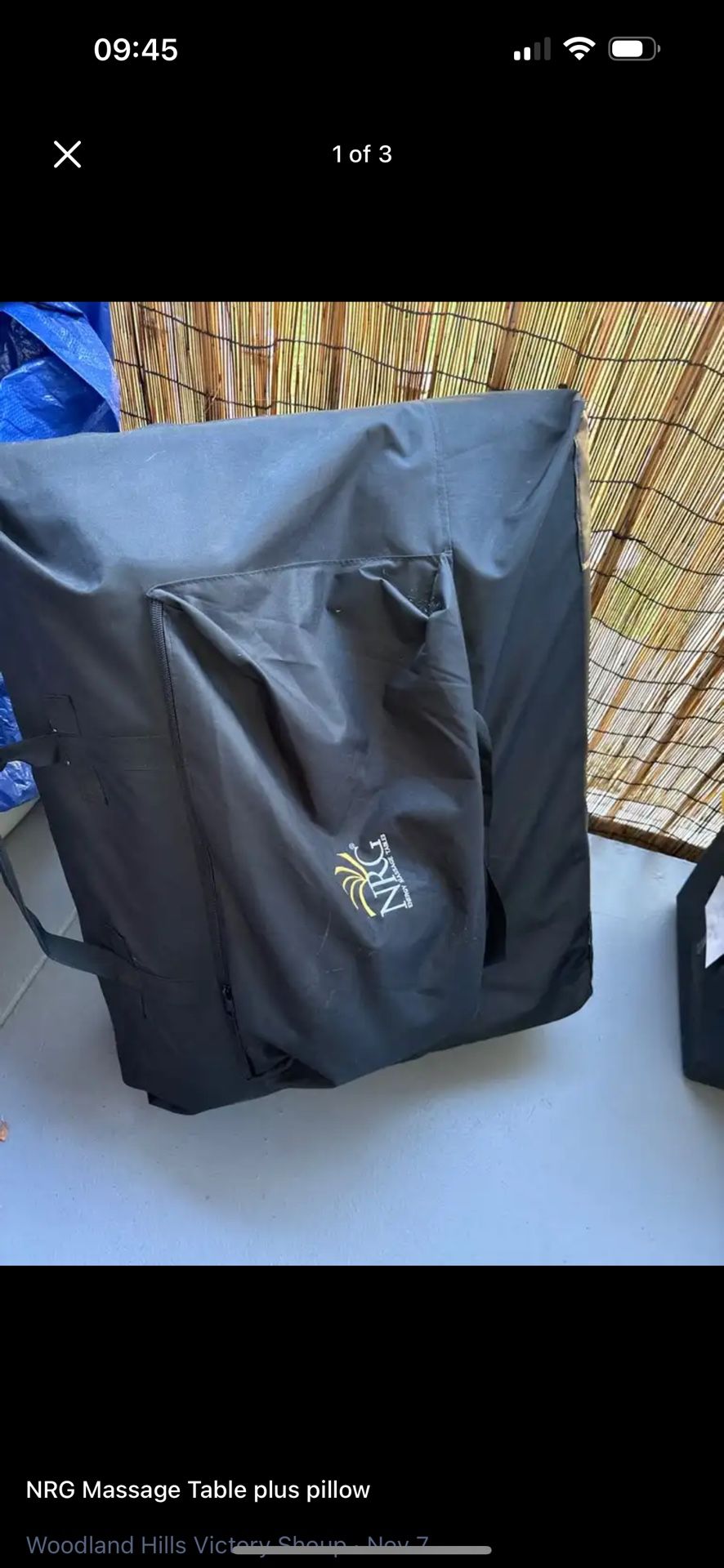 Professional Massage Table