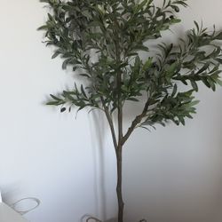 2 Artificial Plants 