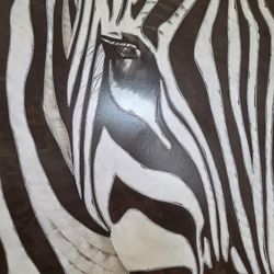 Zebra Picture. Large Zebra Picture 4' x 5'.