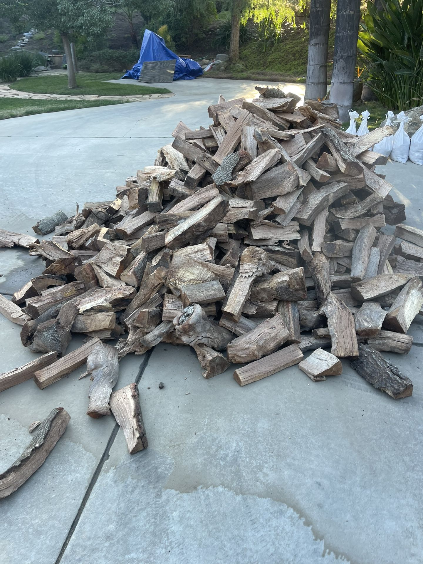 Oak And Eucalyptus Firewood