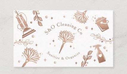 Sanitize & Organize Co