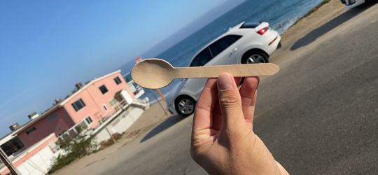 Rare Wooden Spoon