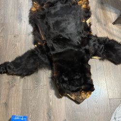 Taxidermy Bear Fur