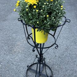 Iron/Metal Plant Stand