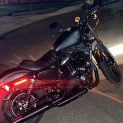 2023 Harley Davidson XL Iron 883