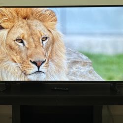 Insignia 50 inch 4K TV with Alexa