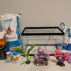 Fish Tank And Everything You Need