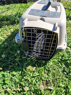 Small cat or dog carrier. If it's listed it's
available! 16in L x 11in W x 10in H
$15