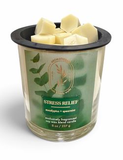 Wax Melts 4oz - Bath and Body Works - Stress Relief Eucalyptus & Spearmint