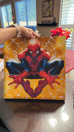Spider-Man canvas